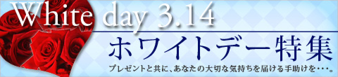 �ۥ磻�ȥǡ��ý�
