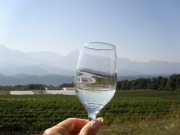 ミサワワイナリー