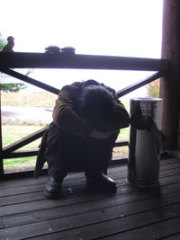 勝沼ワイナリーツアー