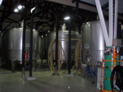 勝沼ワイナリーツアー