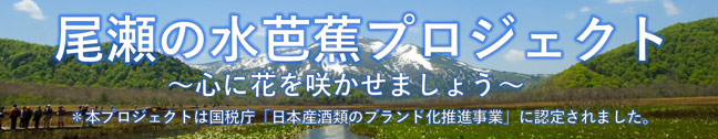 尾瀬に咲く水芭蕉の花を守ろう！プロジェクト