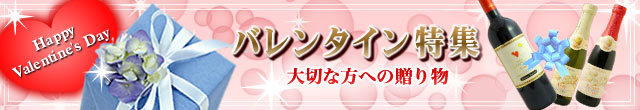 2014年 バレンタイン特集